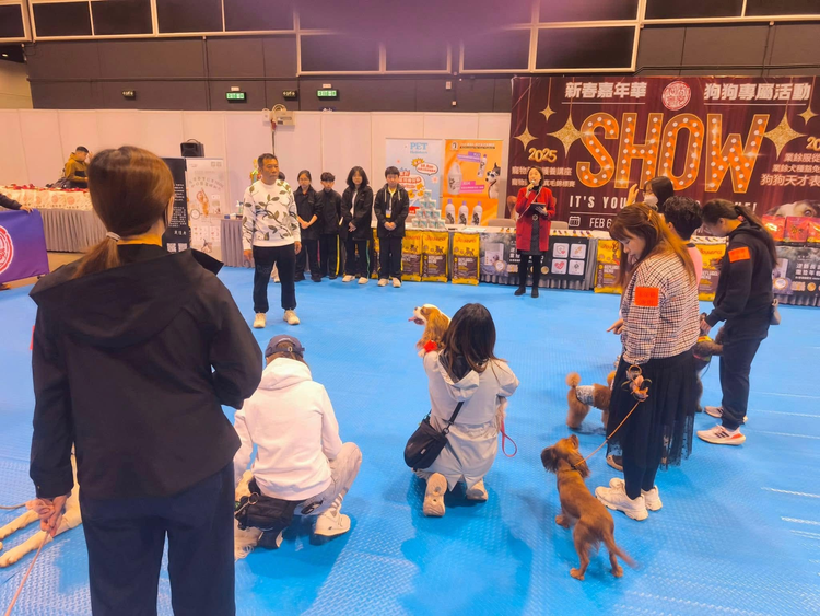 2025 新春嘉年華狗狗專屬活動現場，主人在藍色地墊上與狗狗進行互動訓練