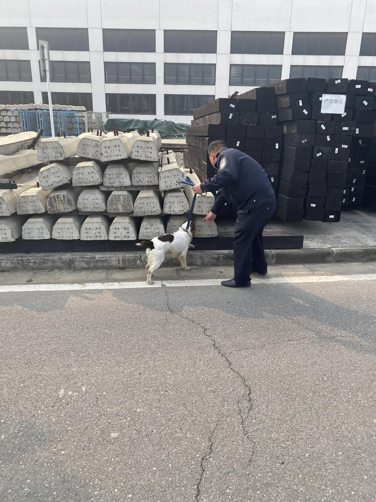 搜索犬在路軌枕木旁進行搜索訓練