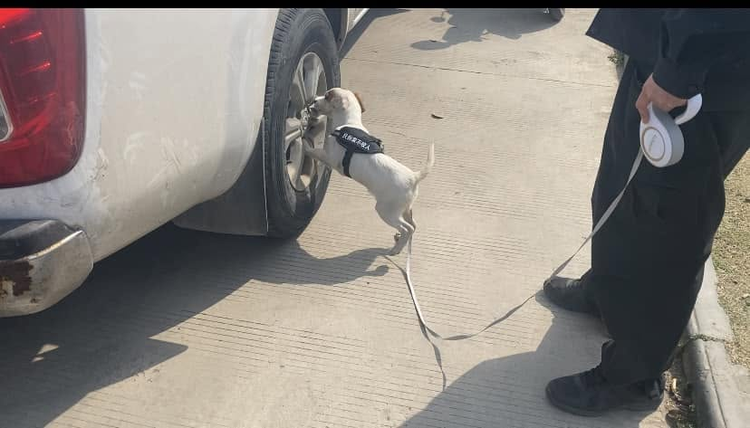 搜索犬檢查車輛輪胎位置